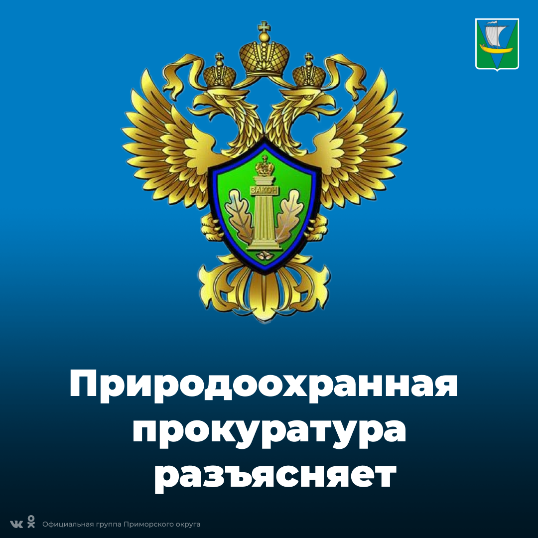 Архангельская межрайонная природоохранная прокуратура разъясняет.