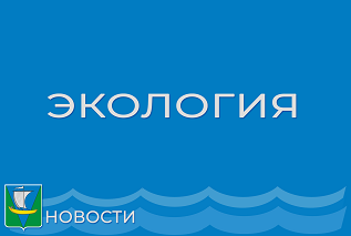 ФГУП «Федеральный экологический оператор» информирует.