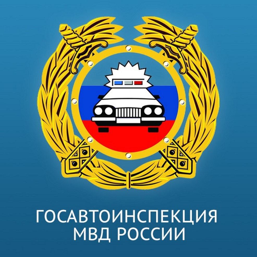 НА ТЕРРИТОРИИ АРХАНГЕЛЬСКОЙ ОБЛАСТИ ПРОХОДИТ ПРОФИЛАКТИЧЕСКОЕ МЕРОПРИЯТИЕ «ПРИСТЕГНИСЬ!».